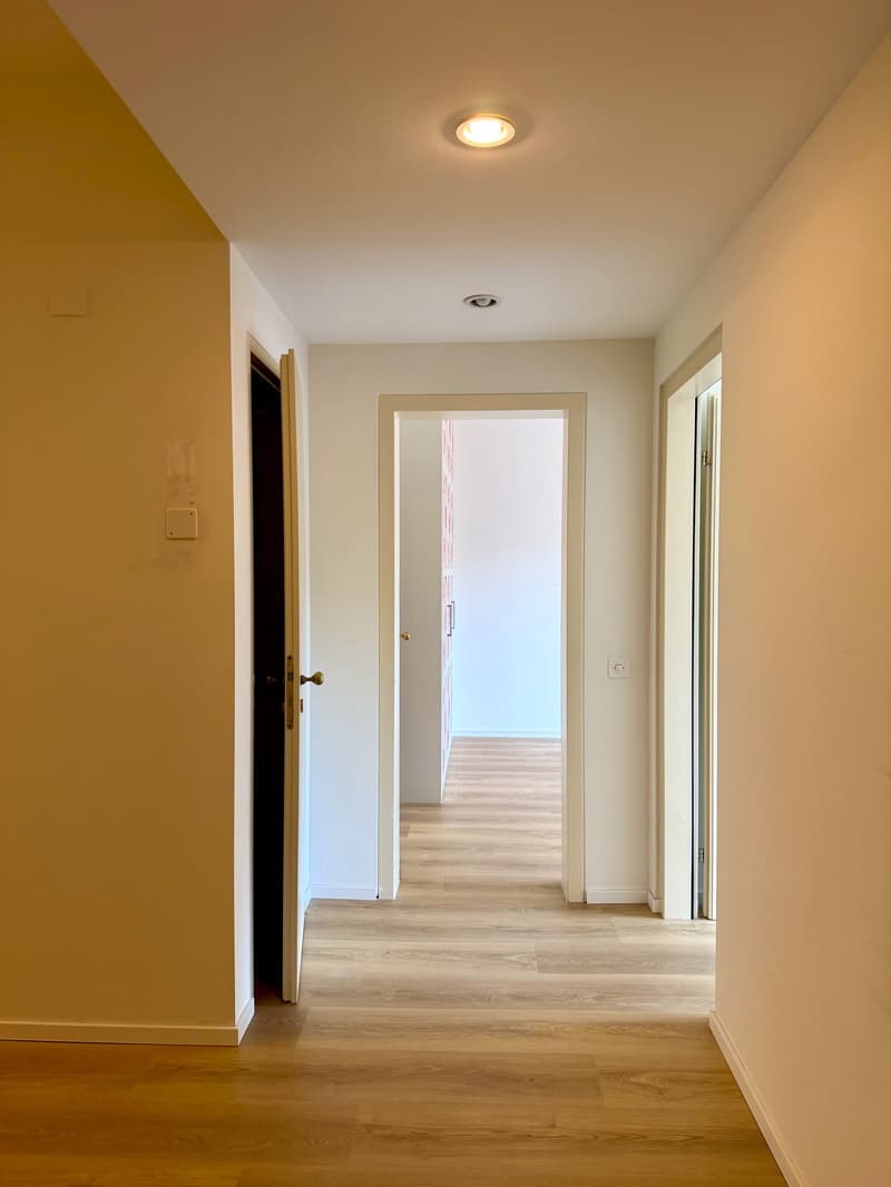 Elegante duplex di 5.5 locali con giardino a Lugano (9)
