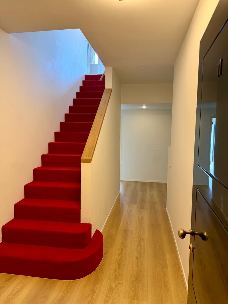 Elegante duplex di 5.5 locali con giardino a Lugano (10)