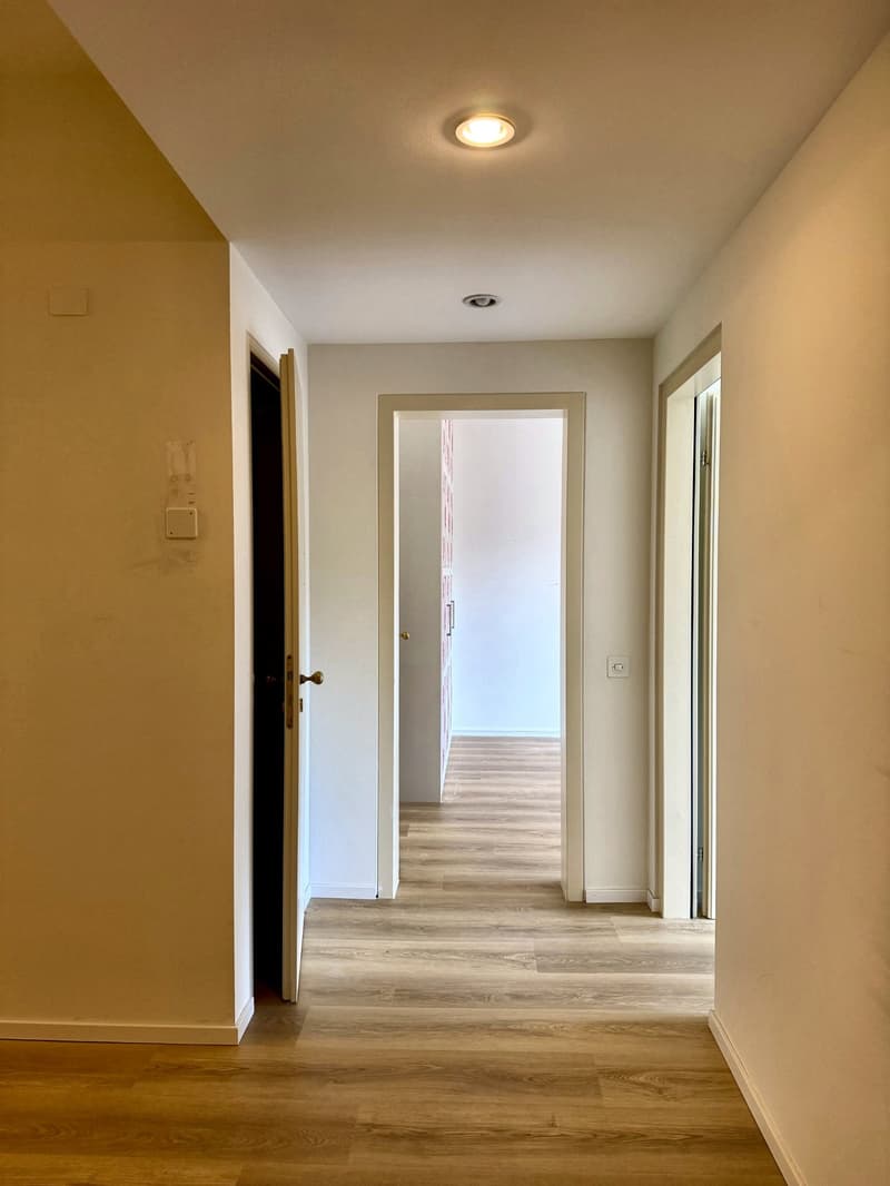 Elegante duplex di 5.5 locali con giardino a Lugano (6)