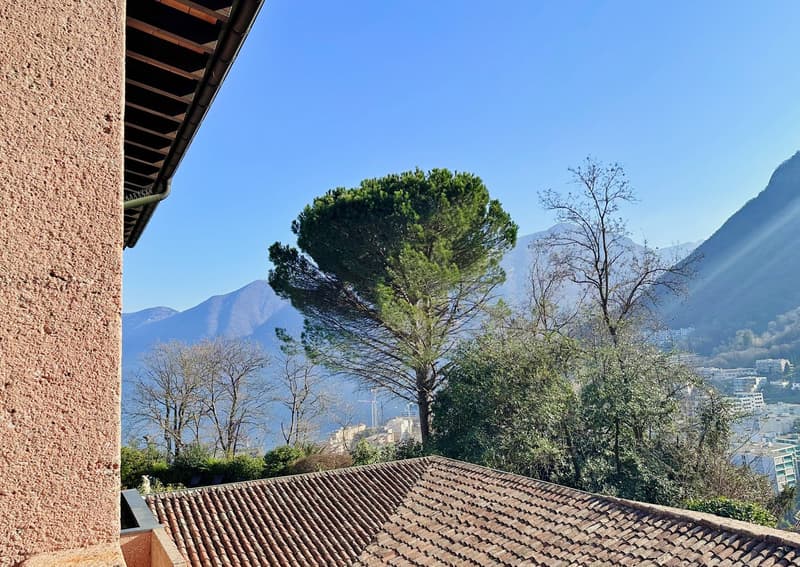 Elegante duplex di 5.5 locali con giardino a Lugano (8)