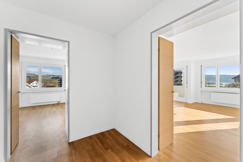 Very beautiful 3.5 room apartment in Sempach (8)
