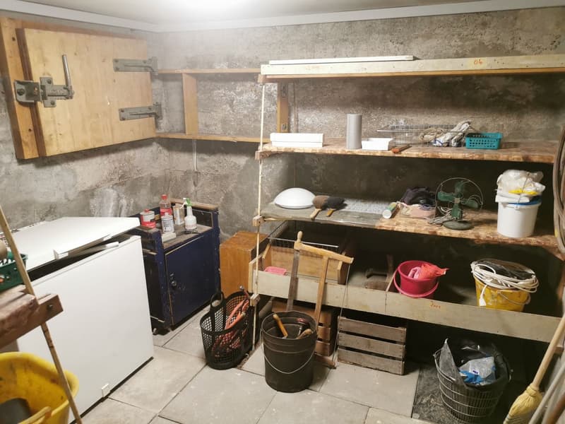 4.5-Zi.-Einfamilienhaus mit grossem Garten in Gränichen (12)