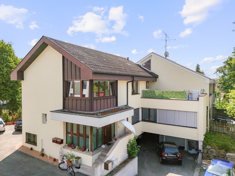 Doppeleinfamilienhaus mit 2 Wohnungen in Auw kaufen (1)