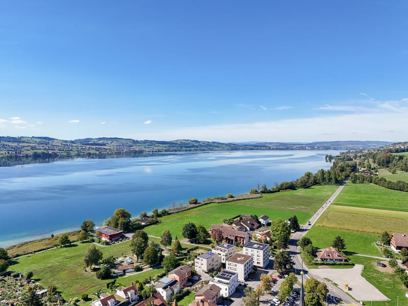 Exklusives 5.5-Zi. Einfamilienhaus mit Seesicht in Sempach kaufen (13)