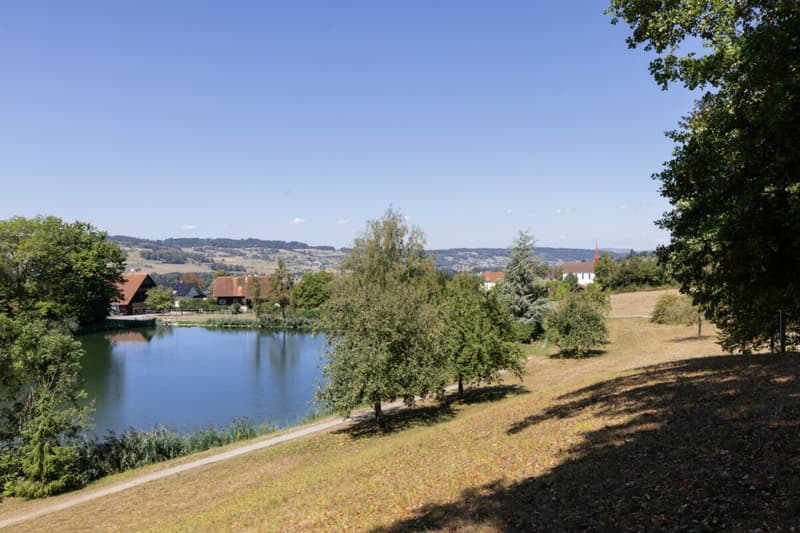 Mühliweiher (2)