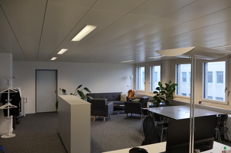 modern office with white walls, gray carpet, white ceiling, large windows, couches, table, chairs, plants, lamps, desk, computer