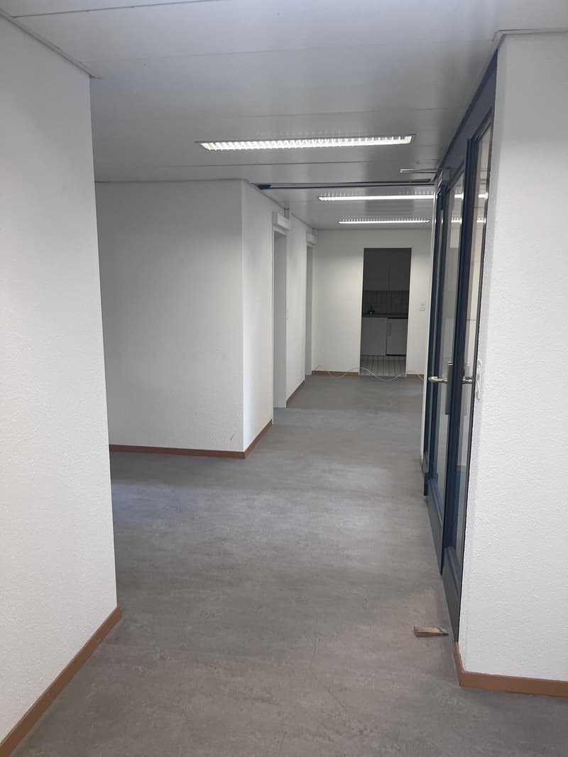 Empty room with white walls, gray floor, and ceiling lights