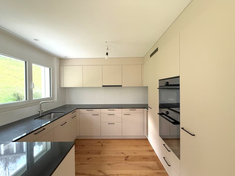 Neubau Einfamilienhaus «am Öölbärg» – Haus D | 5.5 Zi. | 148 m² | grösstes Grundstück | Halden TG (3)