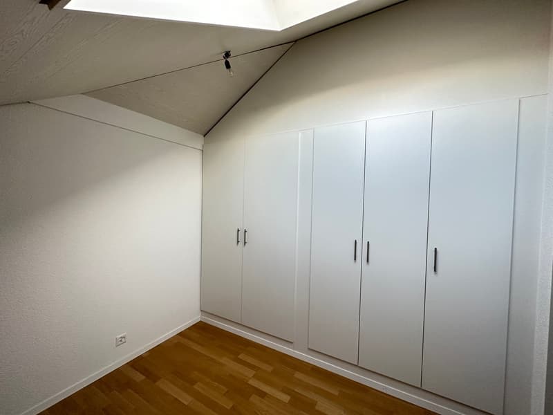 empty room with white walls, wooden floor, white built-in wardrobes, power outlet, skylight
