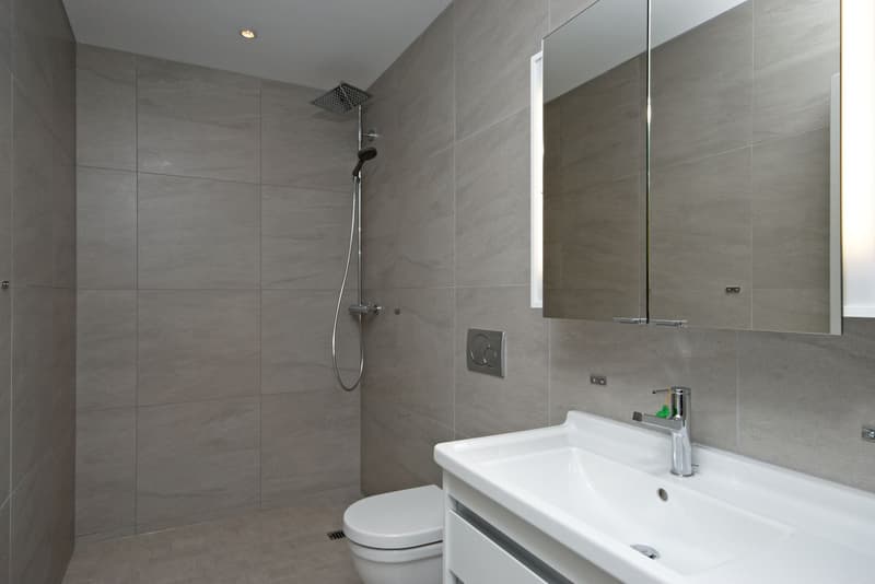 modern bathroom with gray tiles, white sink, shower, toilet, mirror