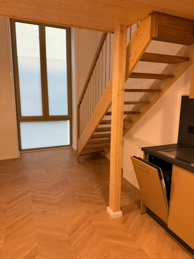 Bellissimo studio duplex nel pieno centro di Delémont (3)