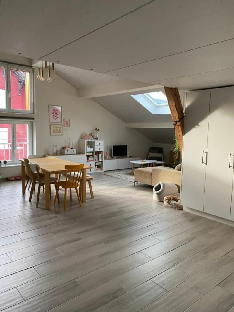 Magnifique appartement de 4.5 pces au centre de Bassecourt (4)