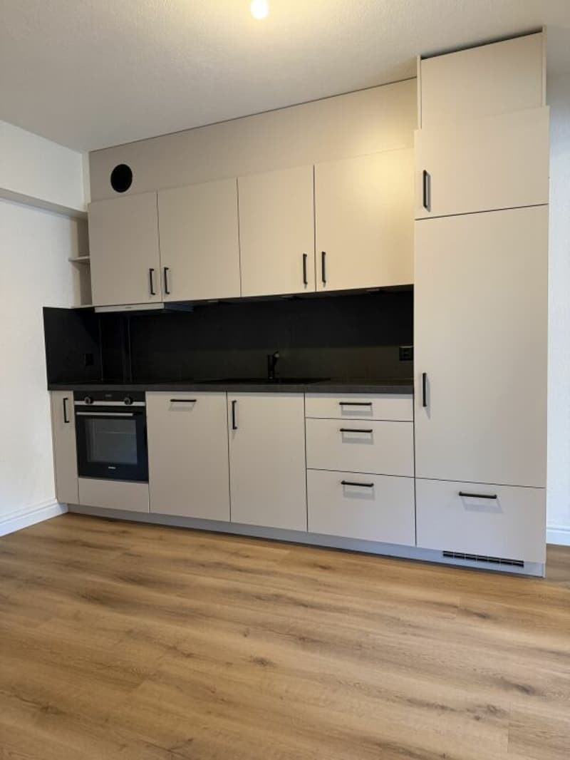 Magnifique 2.5 pces au rez-de-chaussée rénové à neuf au centre de Glovelier (6)
