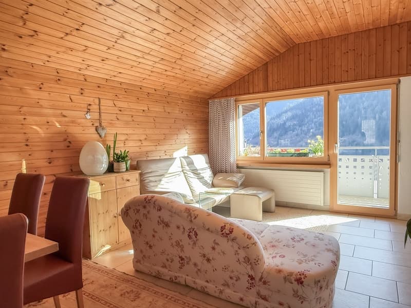 central 2.5-room apartment with a far-reaching view (5)
