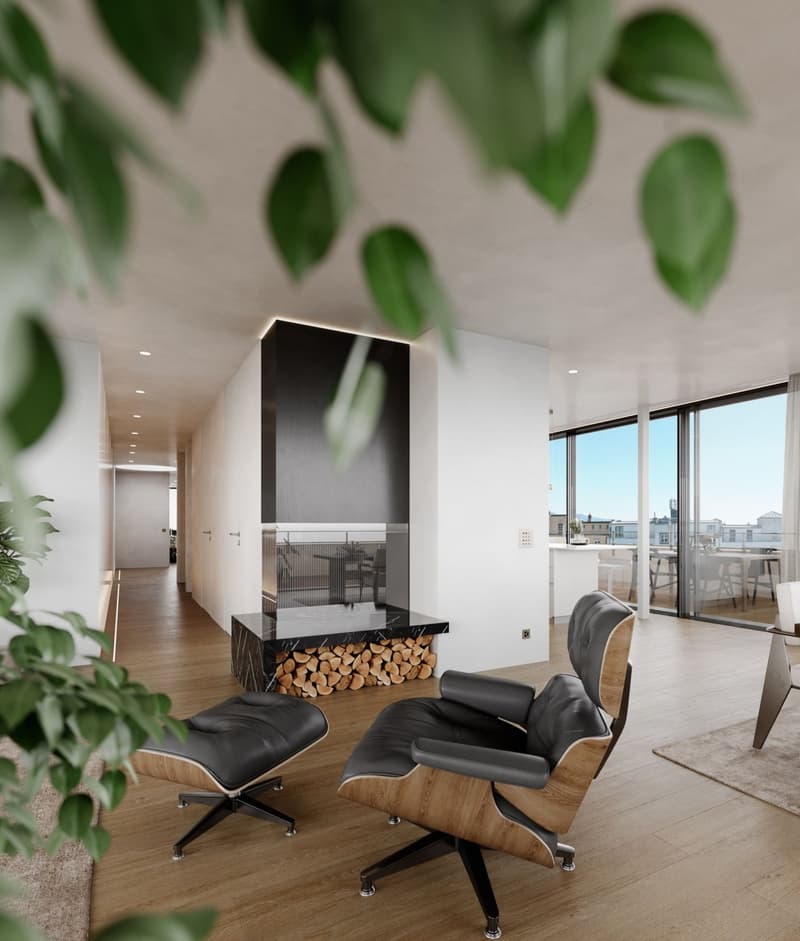 Exceptional new attic of 295 m2 with terrace of 182 m2 (4)