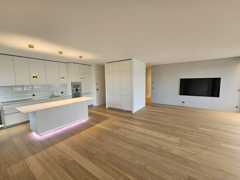 The LAC Tower promotion: More than 3 apartments and 1 exceptional attic still available. (22)