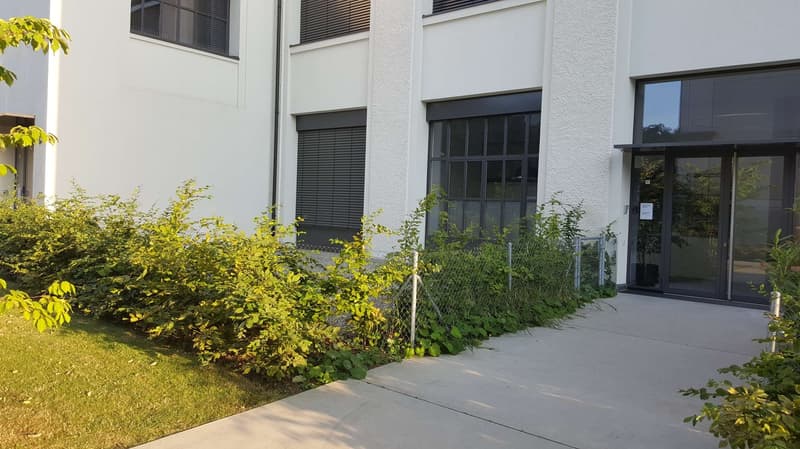 Exceptional LOFT/Duplex for sale in Charmilles, 365m2 (18)