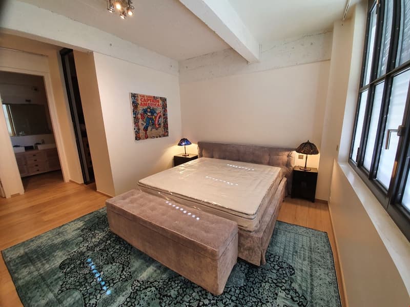 Exceptional LOFT/Duplex for sale in Charmilles, 365m2 (10)