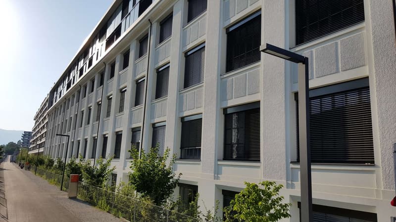 Exceptional LOFT/Duplex for sale in Charmilles, 365m2 (19)