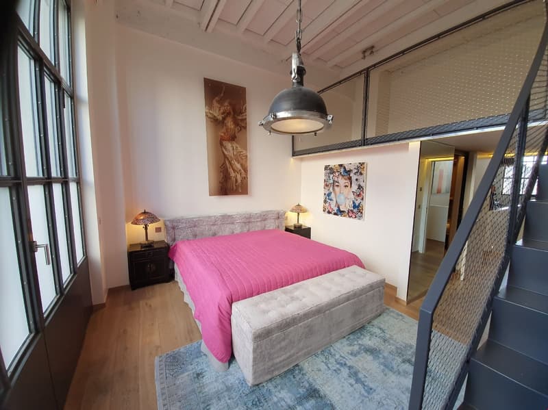 Exceptional LOFT/Duplex for sale in Charmilles, 365m2 (9)