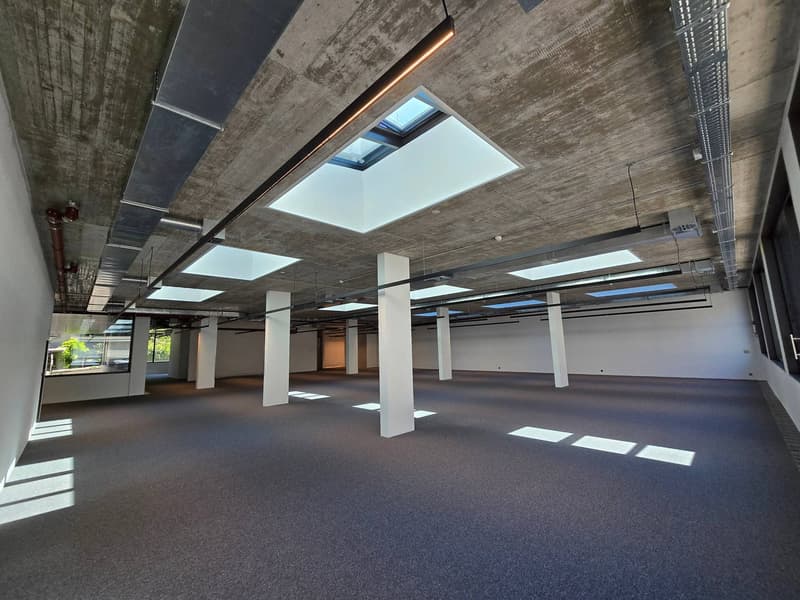 LA LAC TOWER: 3 luxurious new offices and 3 warehouses for sale (11)