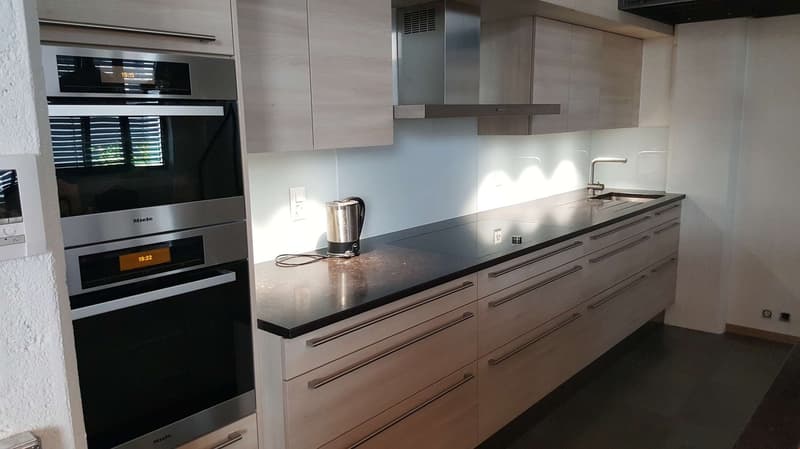 For sale: Exceptional LOFT/Duplex of 365m2 in Charmilles (11)