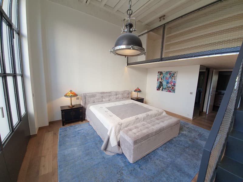 For sale: Exceptional LOFT/Duplex of 365m2 in Charmilles (6)