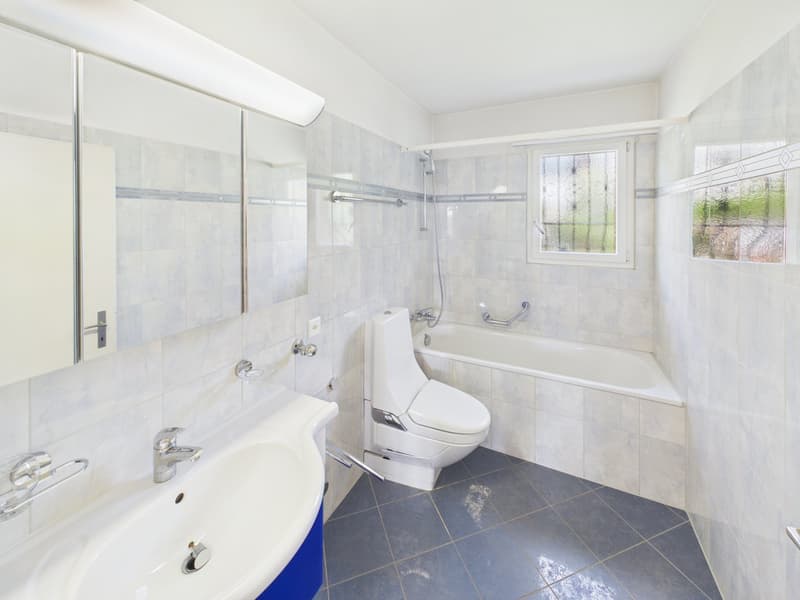 Maison individuelle dépendante avec charme, calme et potentiel de développement attractif (11)