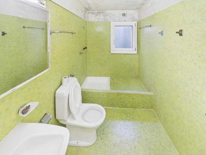 Maison individuelle dépendante avec charme, calme et potentiel de développement attractif (16)
