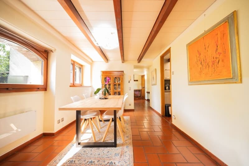 Schönes Einfamilien-Reihenhaus mit Garten in Origlio (3)