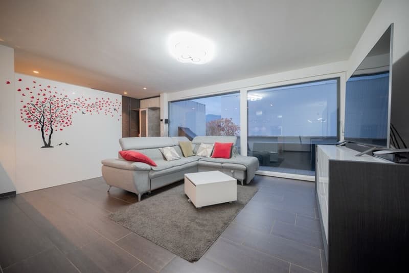 Appartement moderne avec confort et atmosphère lumineuse (5)
