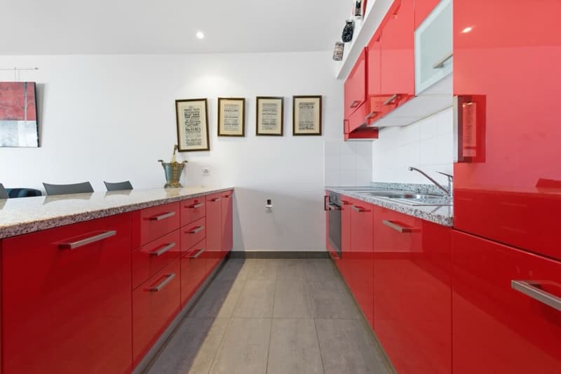 2,5-Zimmer-Wohnung mit Terrasse und Seeblick in Paradiso (4)