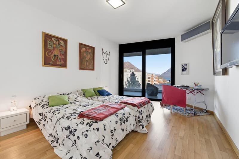 2,5-Zimmer-Wohnung mit Terrasse und Seeblick in Paradiso (5)