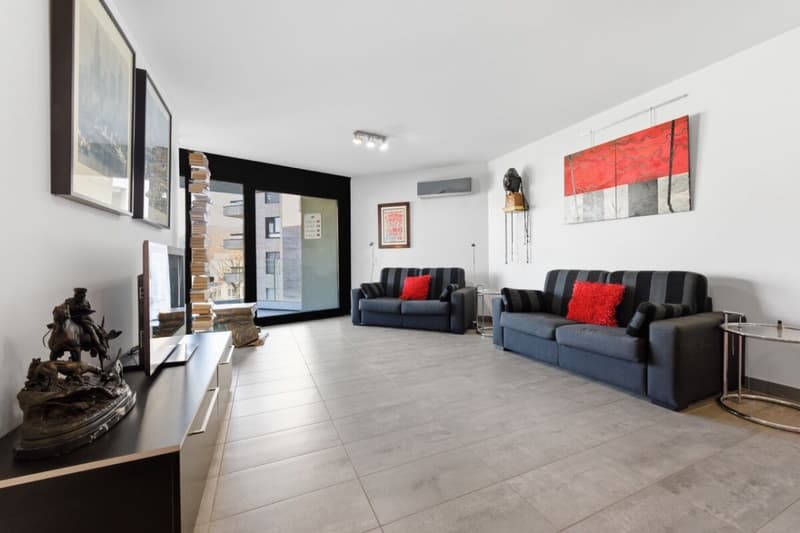 2,5-Zimmer-Wohnung mit Terrasse und Seeblick in Paradiso (3)