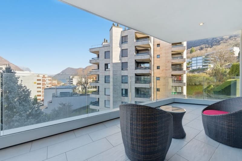 2,5-Zimmer-Wohnung mit Terrasse und Seeblick in Paradiso (2)