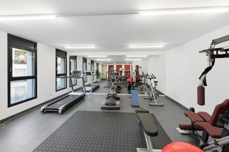 2,5-Zimmer-Wohnung mit Terrasse und Seeblick in Paradiso (6)
