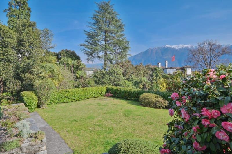 Bella casa con grande potenziale in posizione ricercata (6)