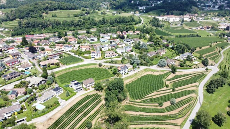 Schöne Villa mit Garten und freiem Blick auf die Weinberge (19)