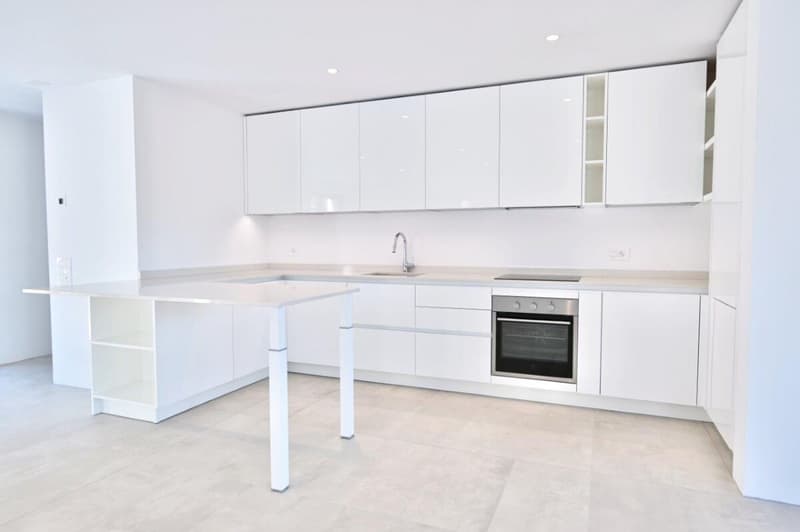 Penthouse with Large Terraces in a New Residential Development (4)