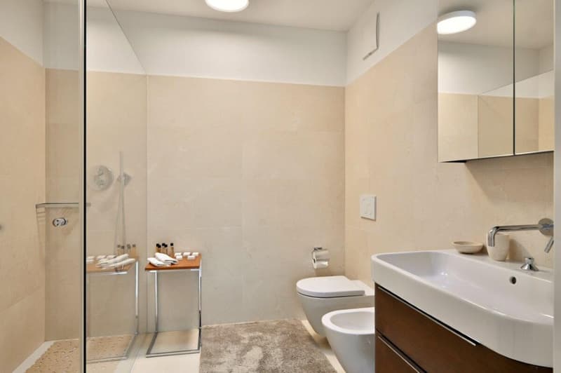 Ampio e lussuoso attico duplex con spettacolare vista lago (21)
