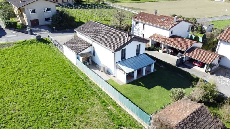 Exclusive villa with large garden (14)