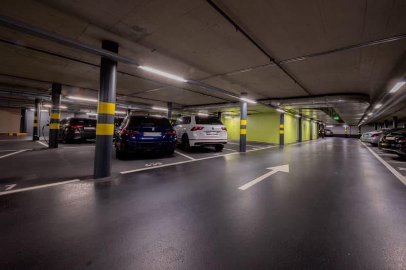 Prästigöses Büro mit Seeblick im Palazzo Mantegazza (14)
