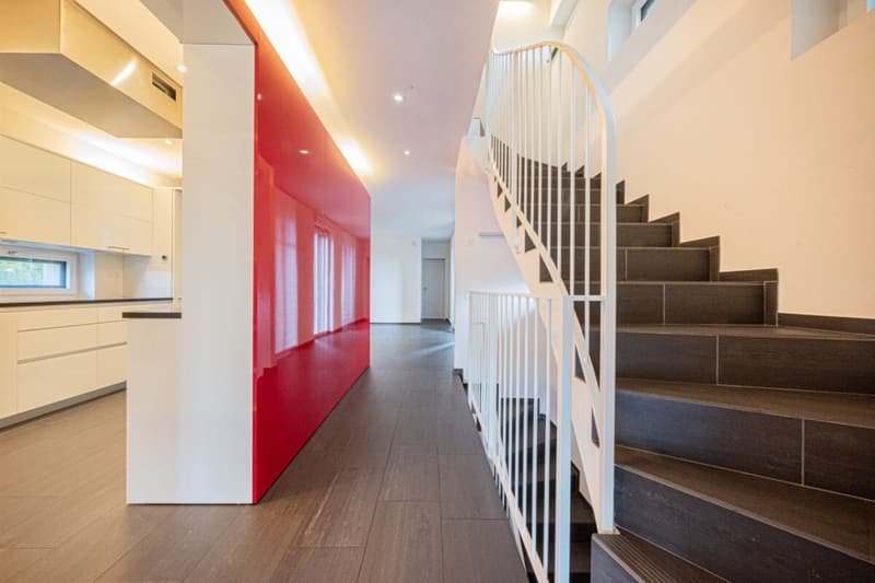Exclusive Single House with Garden (5)