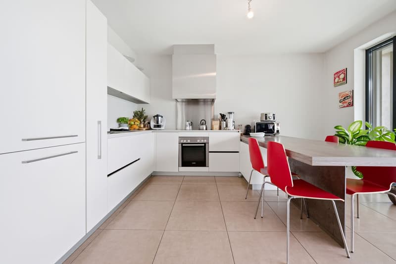 Penthouse with a spacious terrace just a few steps from the center of Lugano. (5)