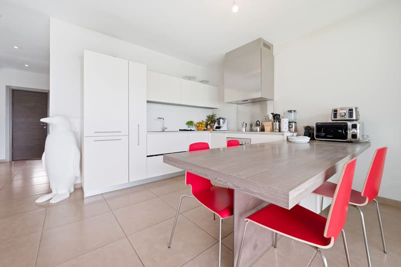 Penthouse with a spacious terrace just a few steps from the center of Lugano. (6)