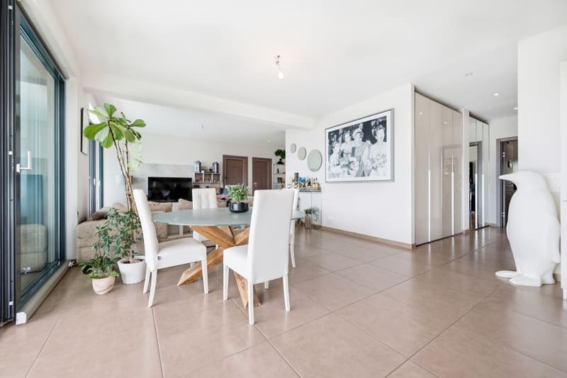 Penthouse with a spacious terrace just a few steps from the center of Lugano. (9)