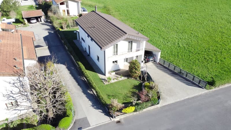 Exklusive Villa mit grossem Garten (1)