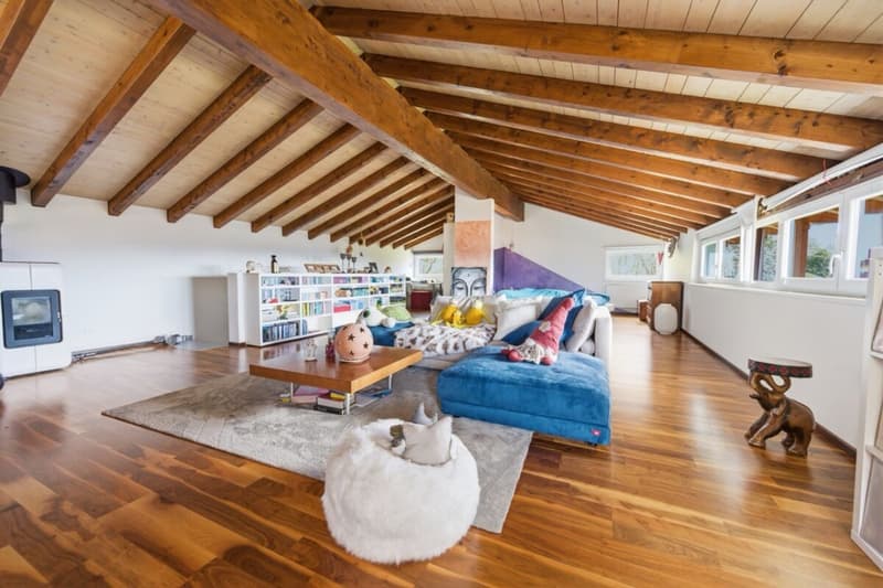 Casa spaziosa e luminosa con vista panoramica, giardino e grande mansarda (1)