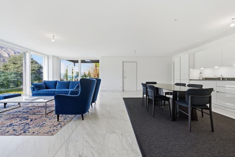 Résidence Ceresio 52 : appartement avec vue sur le lac et jardin (2)