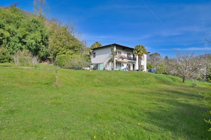 Terreno edificabile in bella posizione (6)